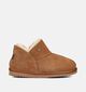 Warmbat Willow Pantoufles fermées en Cognac pour femmes (362527)