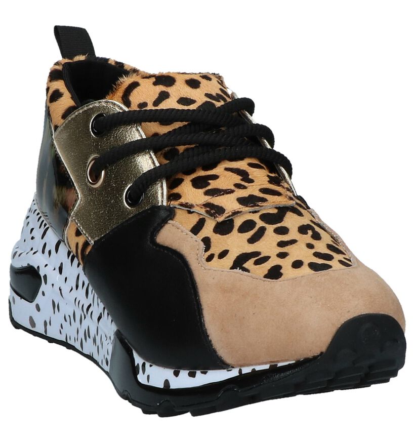 Steve Madden Cliff Baskets Multicolore en daim (252186)