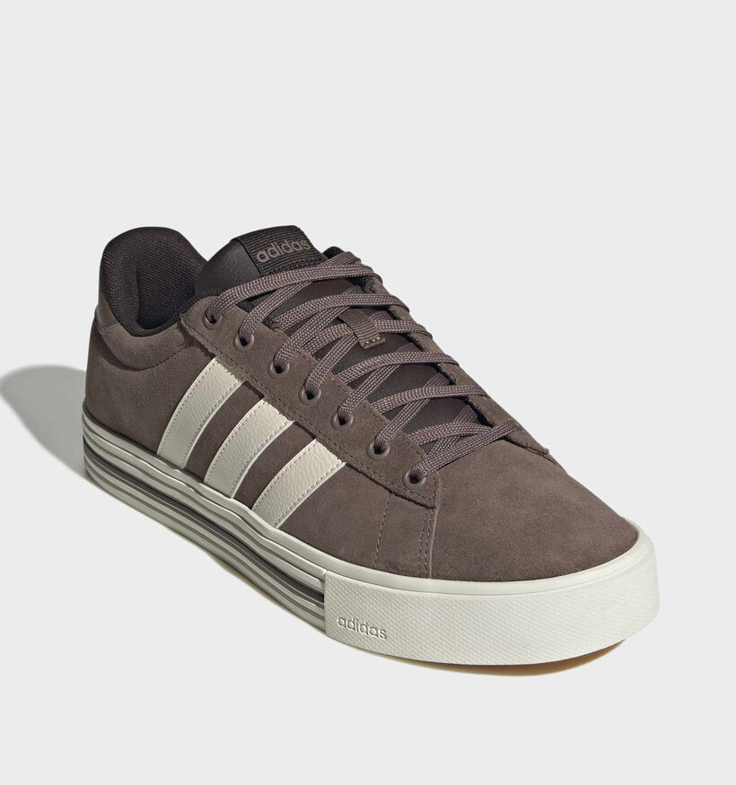 adidas Daily 4.0 Bruine Sneakers voor heren (372615) - geschikt voor steunzolen