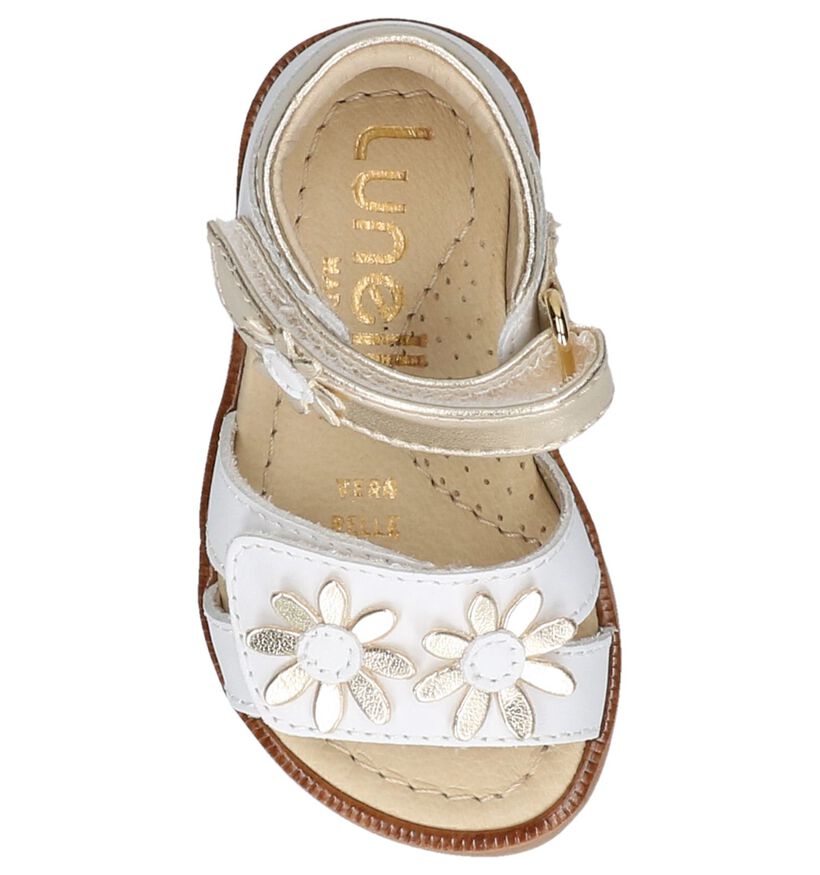 Lunella Sandales pour bébé en Blanc en cuir (238978)