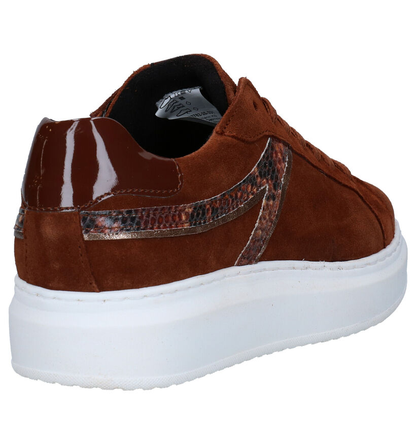 Tamaris TOUCH it Baskets en Brun en nubuck (280772)