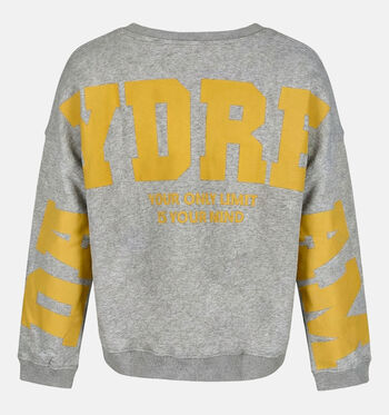 The Shirt Project Pulls Rose/Gris