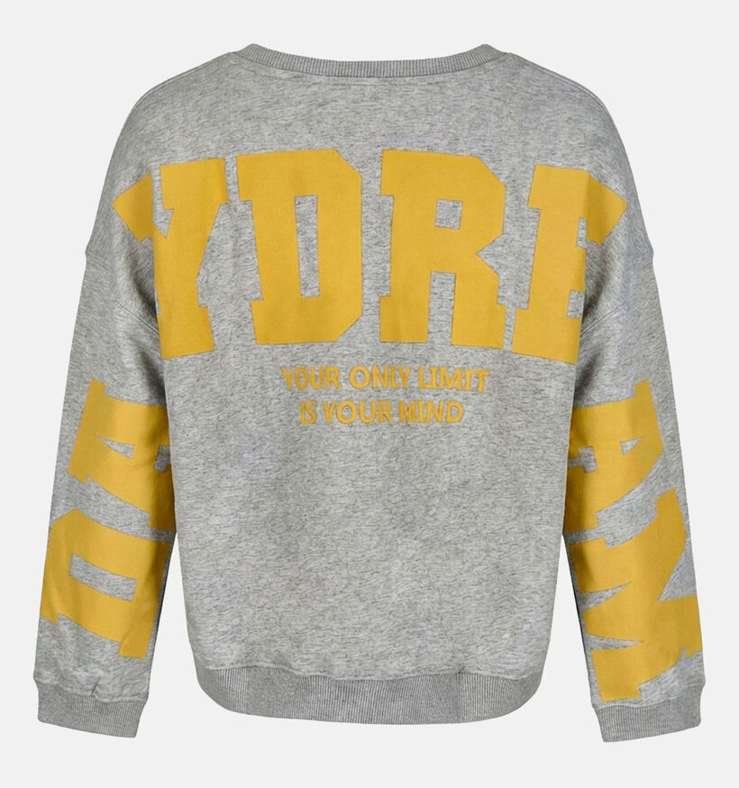 The Shirt Project Sweater Daydream Grijze Sweater voor dames (374341)