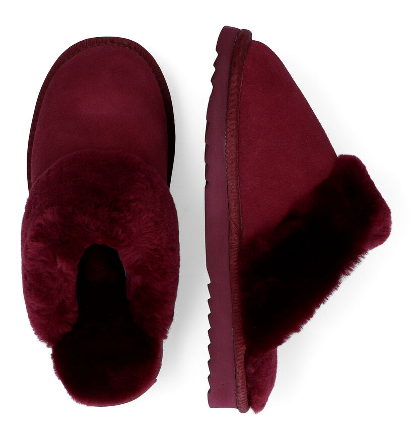 Warmbat Flurry Pantoufles en laine en Cognac pour femmes (329908)