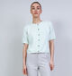 JDY Chloe Life Lichtgroene Cardigan voor dames (375093)