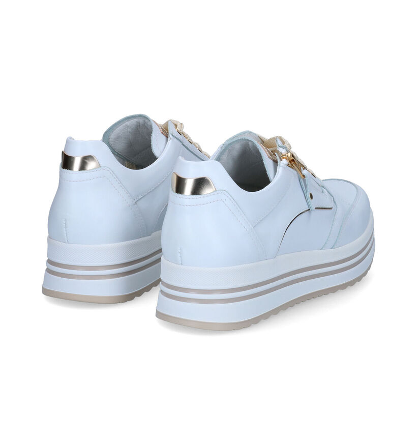 NeroGiardini Baskets casual en Blanc en cuir (307496)