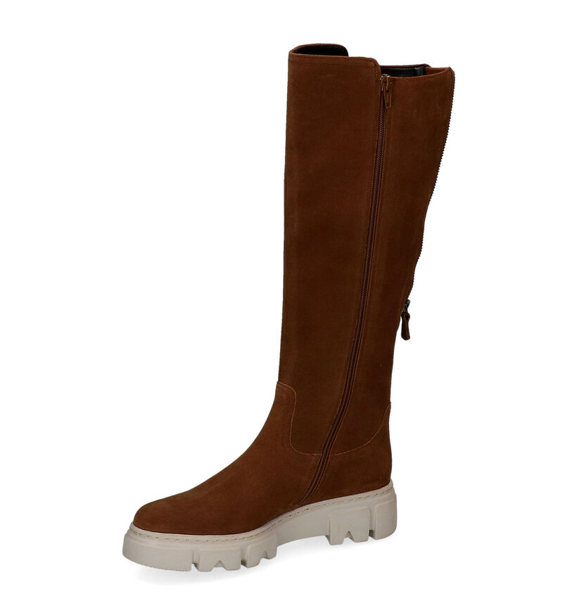 Gabor Best Fitting Cognac Knielaarzen in daim (299194)