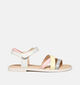 Geox Karly Witte Sandalen voor meisjes (352939)