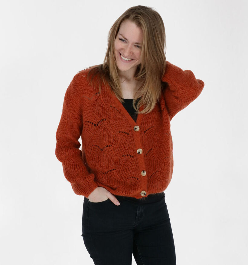 Dolce C. Gilet en Fuchsia (290088)