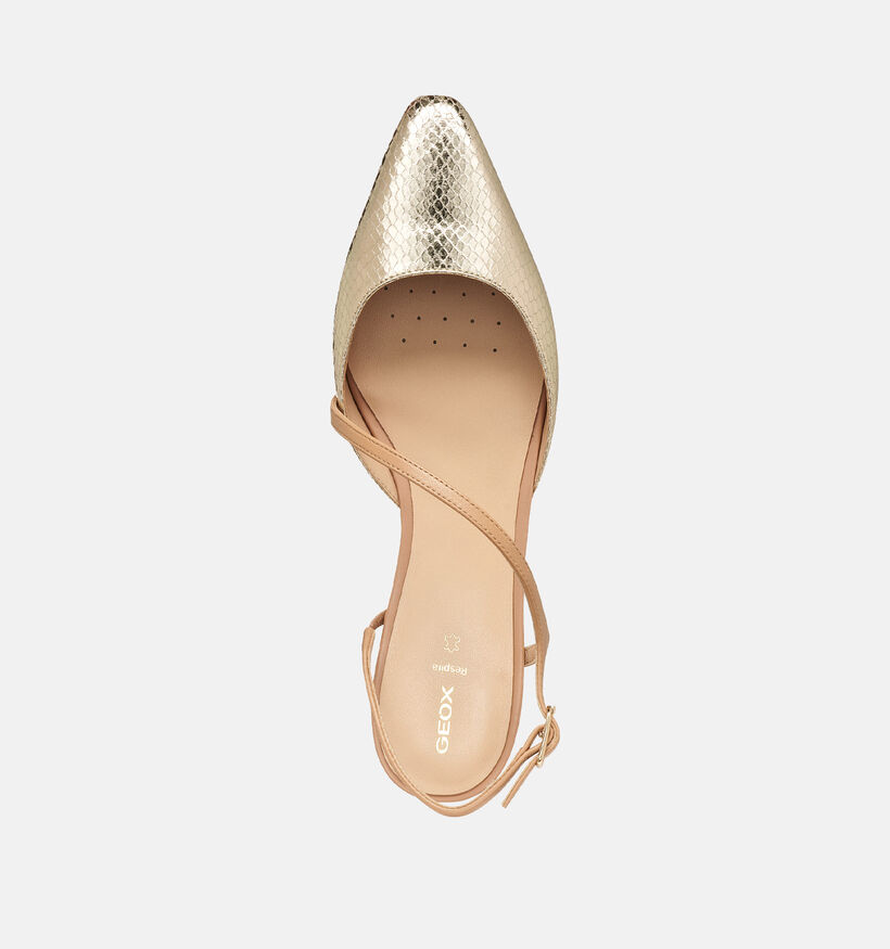 Geox Giselda Gouden Ballerina's voor dames (368181)