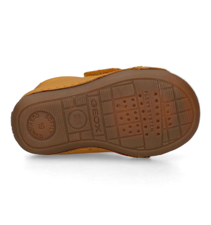 Geox Tutim Chaussures pour bébé en Jeune pour filles, garçons (326578)