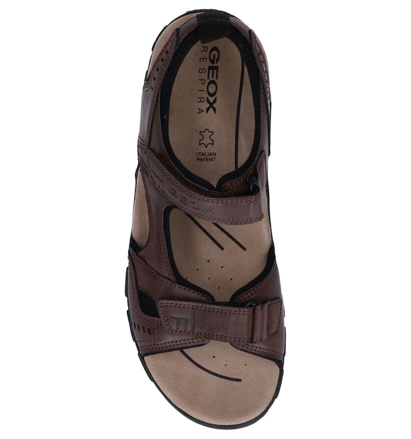 Geox Sandales en Noir en simili cuir (266688)