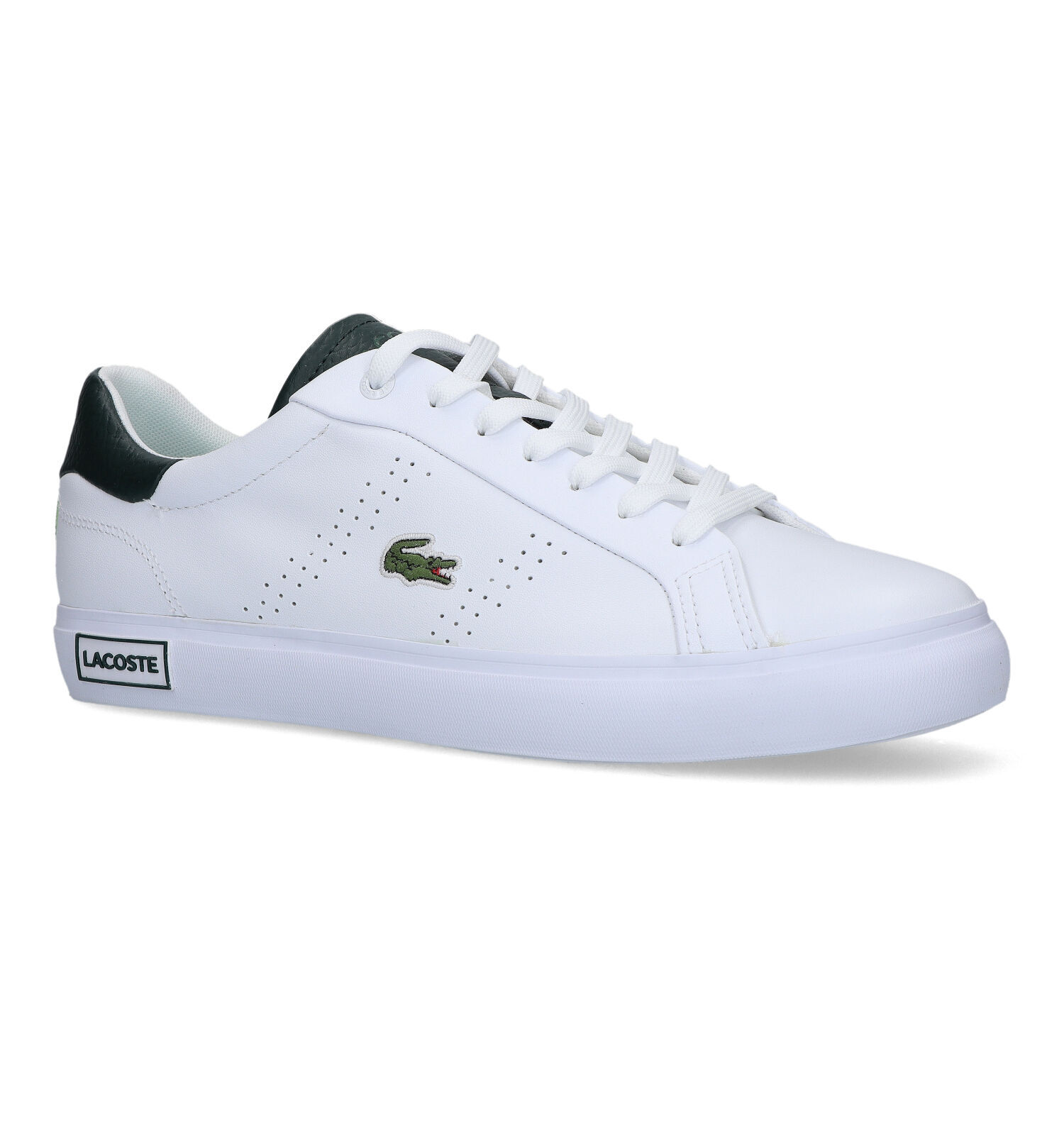 Lacoste shop schoenen heren