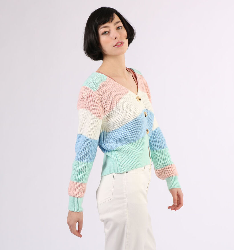 Estee Brown Multicolor Cardigan (297152)