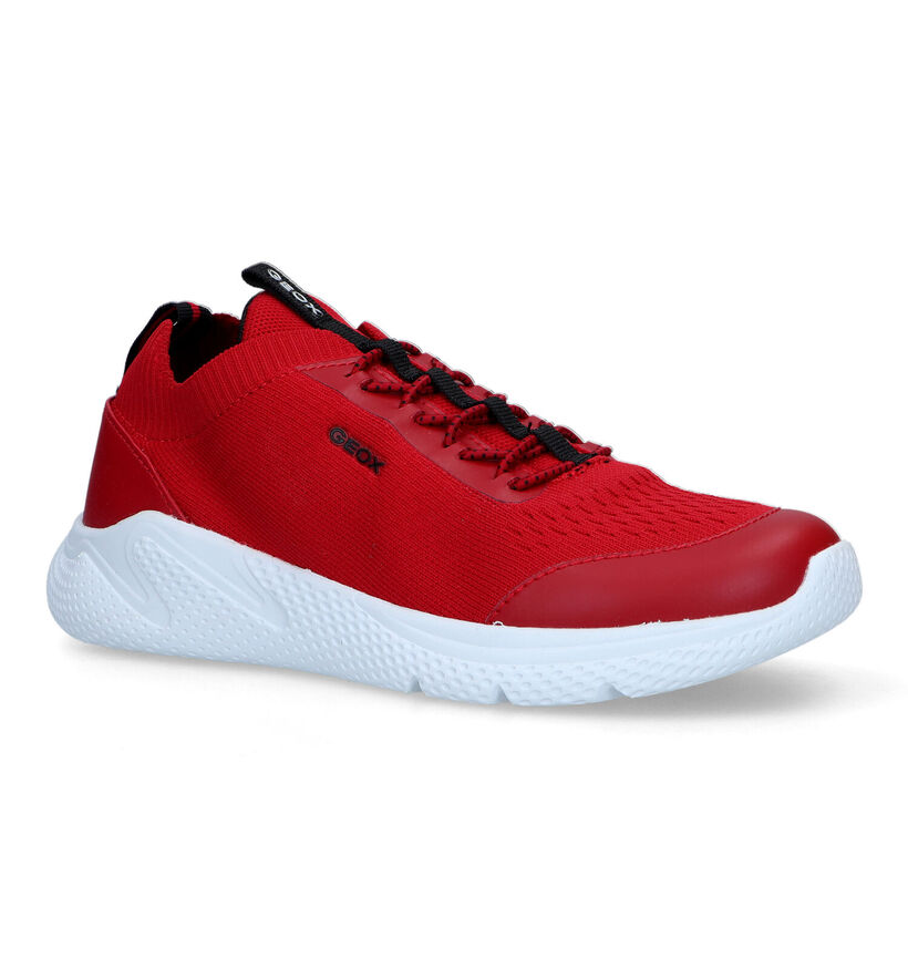 Geox Sprintye Blauwe Sneakers voor jongens (339641)