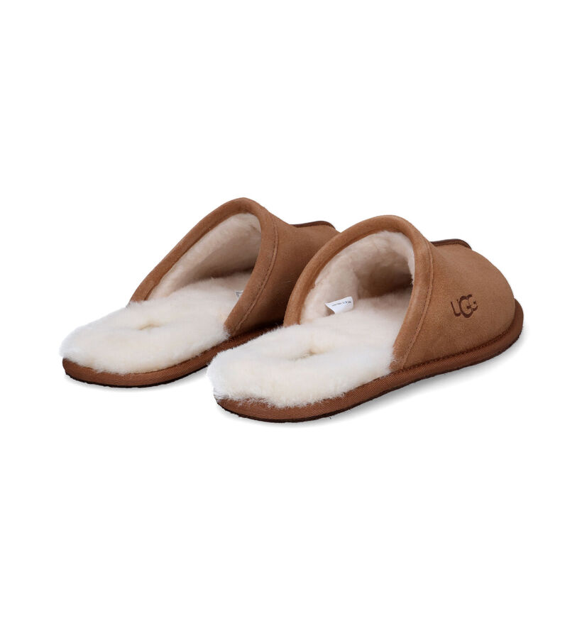 UGG Scuff Cognac Pantoffels voor heren (313969)