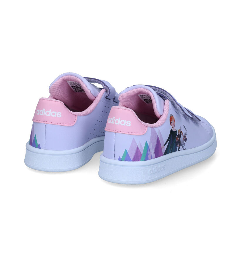 adidas Advantage Frozen Baskets en Violet en simili cuir (301134)