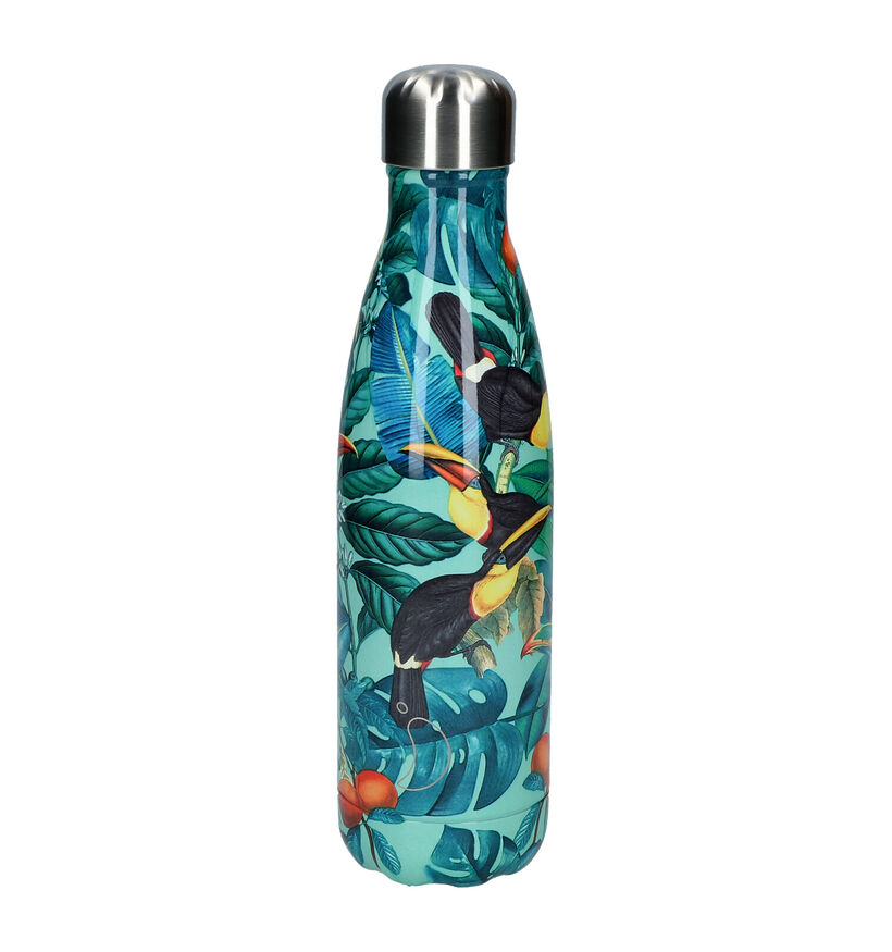 Chilly's x Tropical Toucan Gourde en Vert 500ml pour femmes, filles (283544)