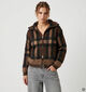 Orfeo Palomee Bruine Korte Jas voor dames (381632)