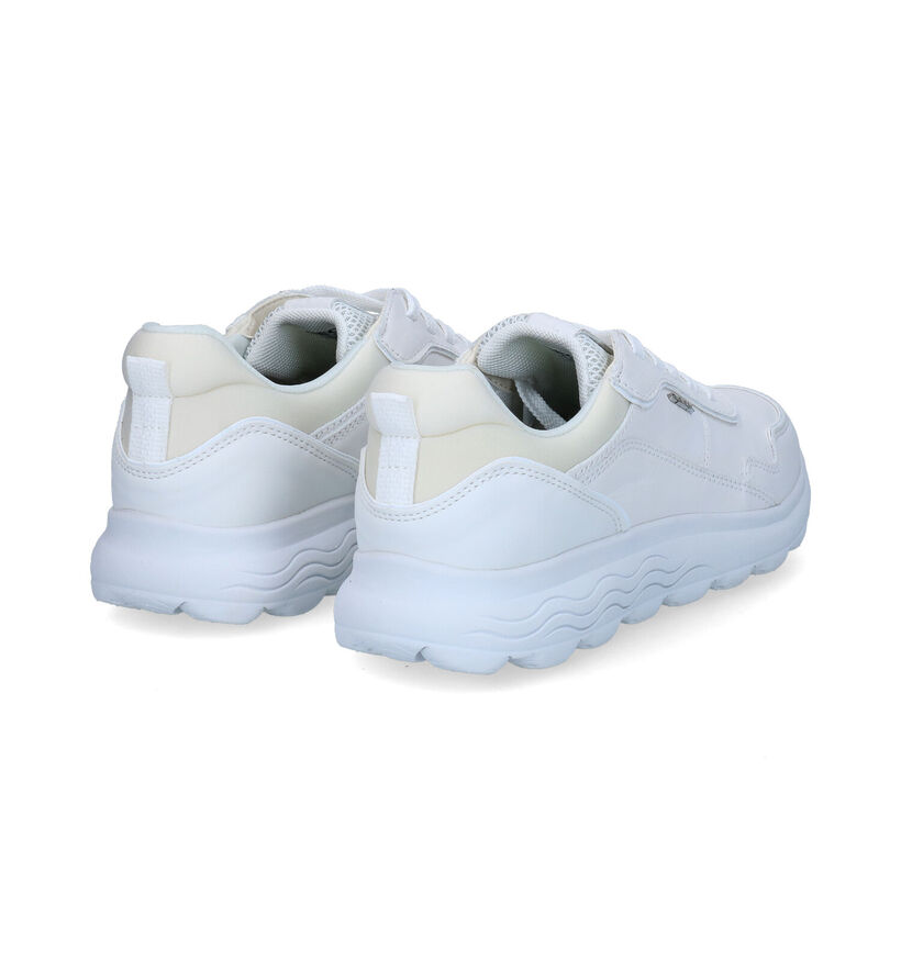 Geox Spherica Baskets en Blanc pour femmes (303533)