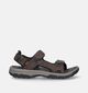 Teva Langdon Bruine Sandalen voor heren (338897)