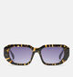 Komono Enno Dark Tortoise Bruine Zonnebril voor dames (370006)