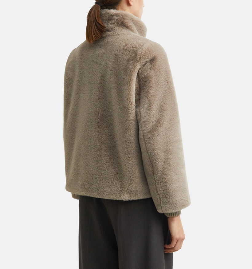 comma Manteau court en Taupe pour femmes (379434)