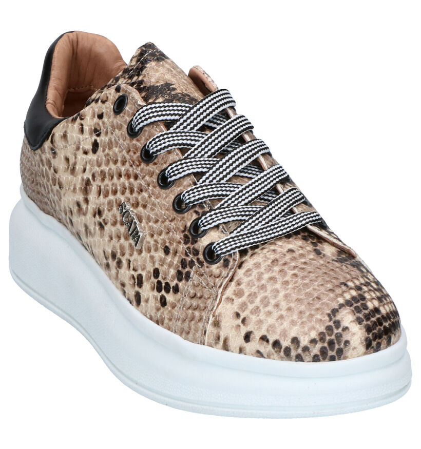 Scapa Chaussures à lacets en Beige en cuir (263820)