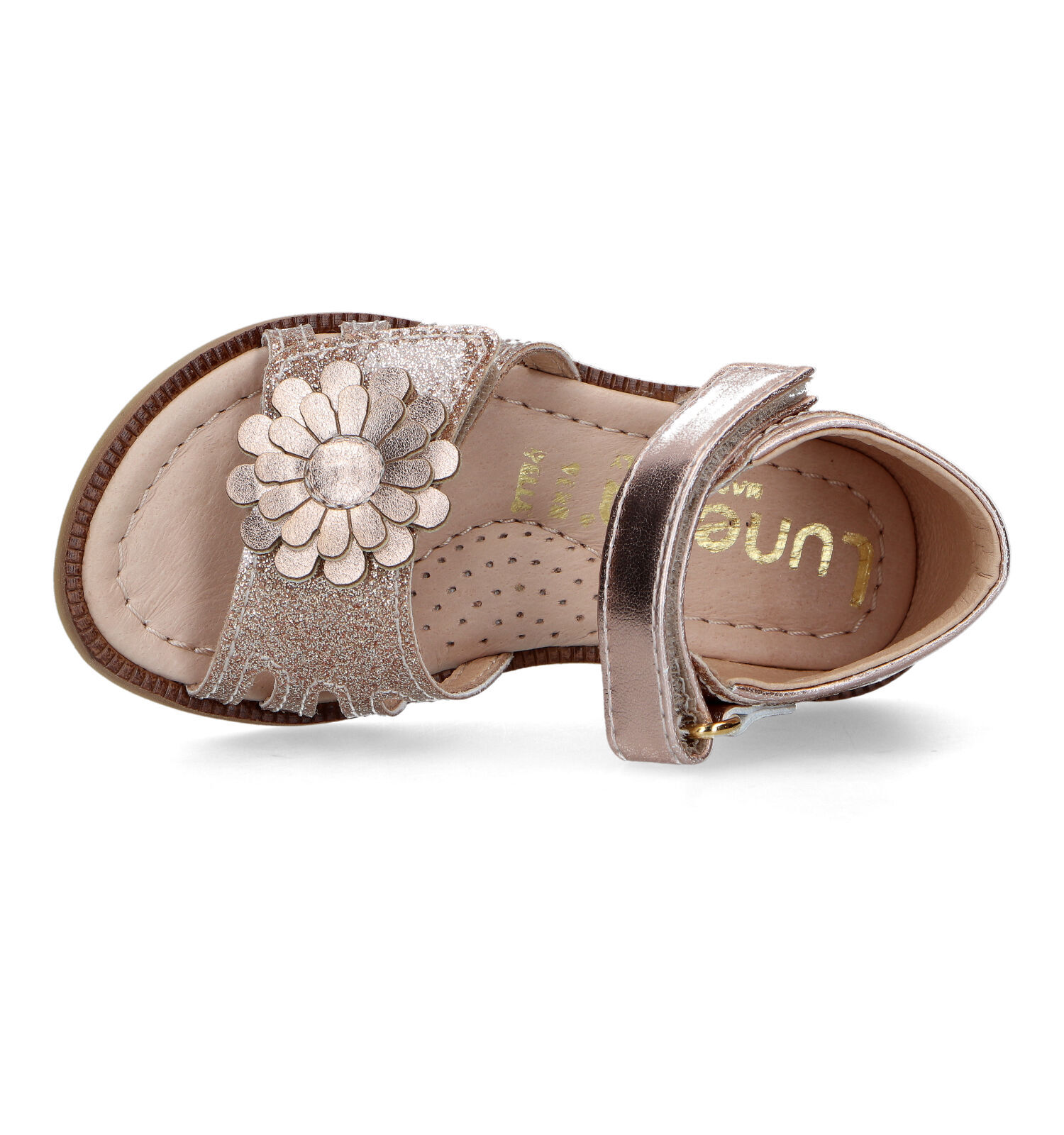 Lunella garcon on sale