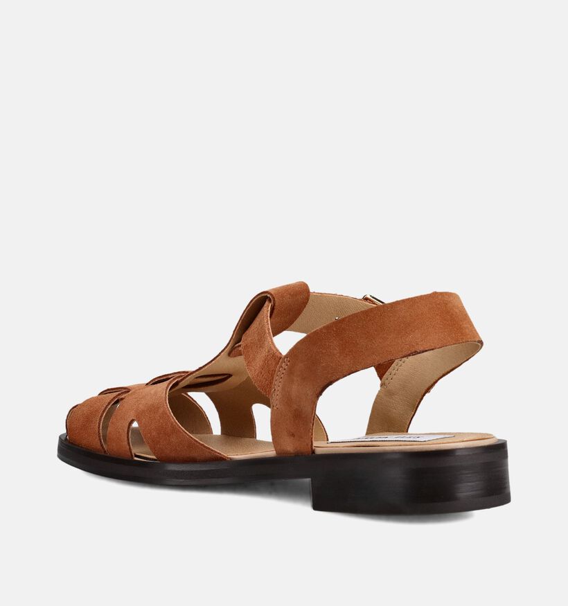 Steve Madden Nado Sandales plates en Cognac pour femmes (372101)