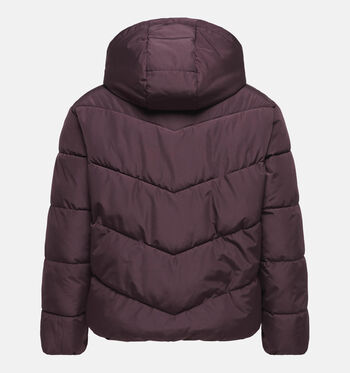 ONLY Carmakoma Manteaux Marron