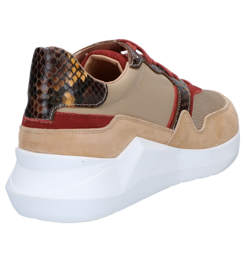 Frida Faith Baskets en Beige en cuir (262445)