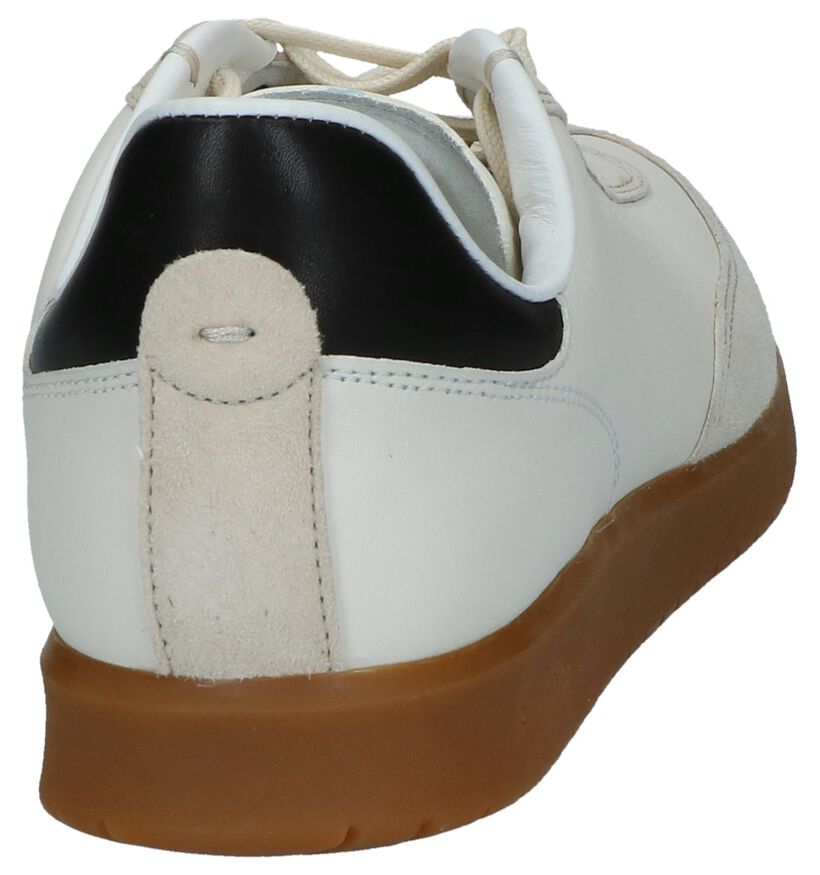 Cole Haan Chaussures basses en Beige clair en daim (240410)