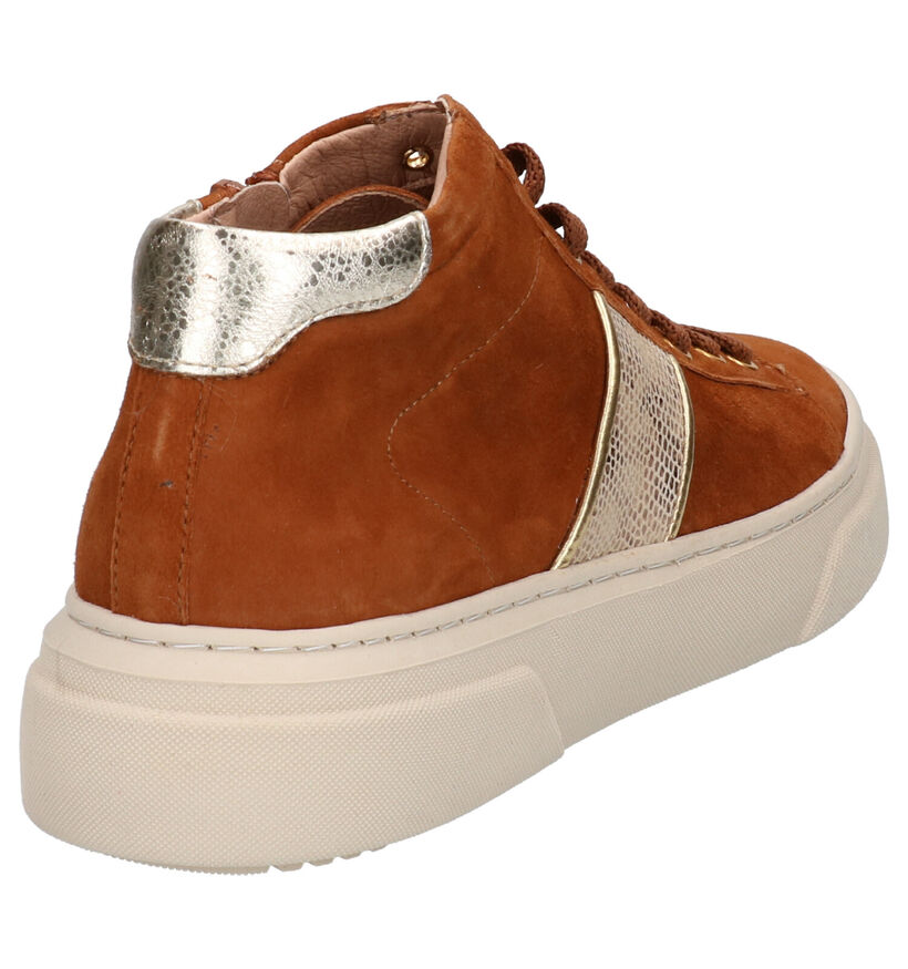 River Woods Baskets montantes en Cognac en nubuck (260280)