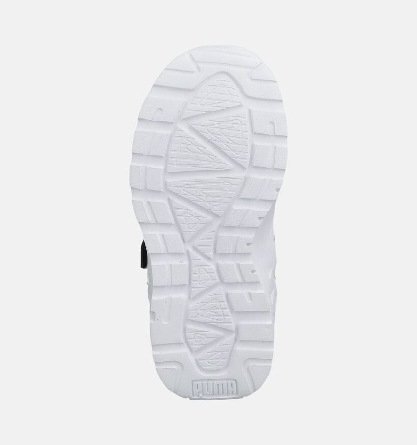 Puma Trinity 2 LT Baskets basses en Vert pour filles, gar&ccedil;ons (375567) - pour semelles orthop&eacute;diques
