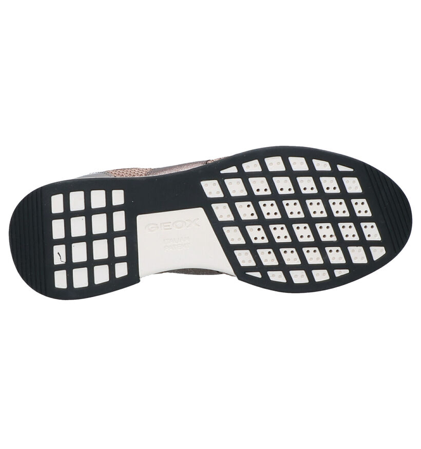 Geox Baskets basses en Beige en textile (255281)