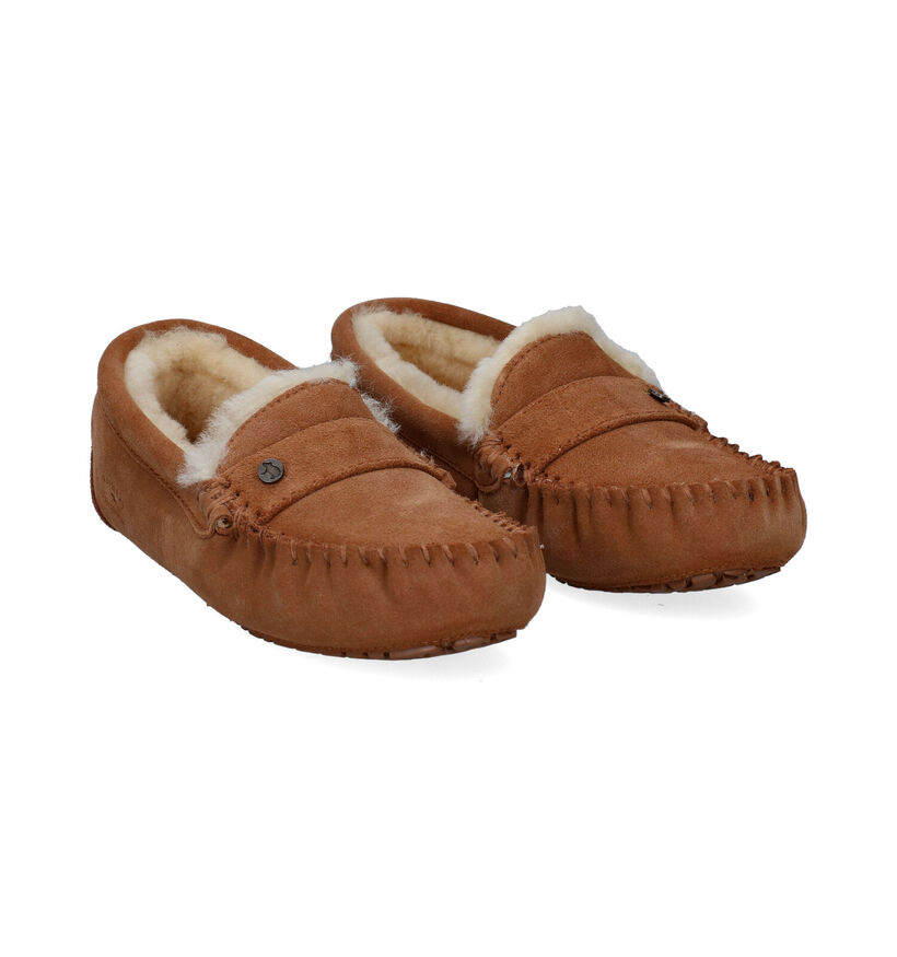 Warmbat Nowra Pantoufles en Cognac pour femmes (315167)