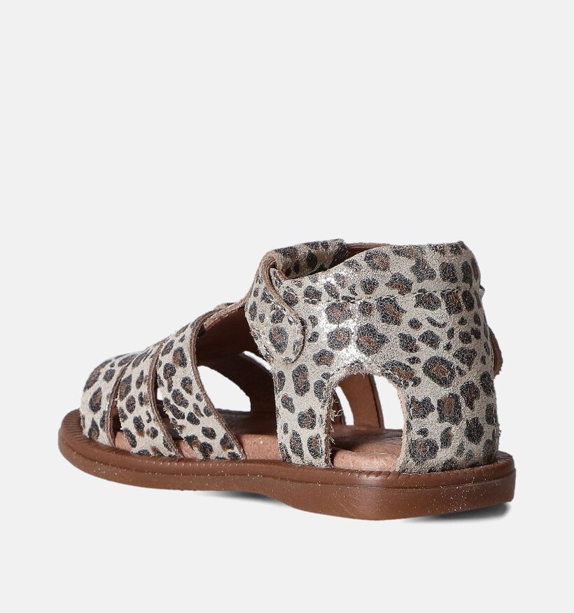 Westlake Baby Sandalen Bruin voor meisjes (356669)