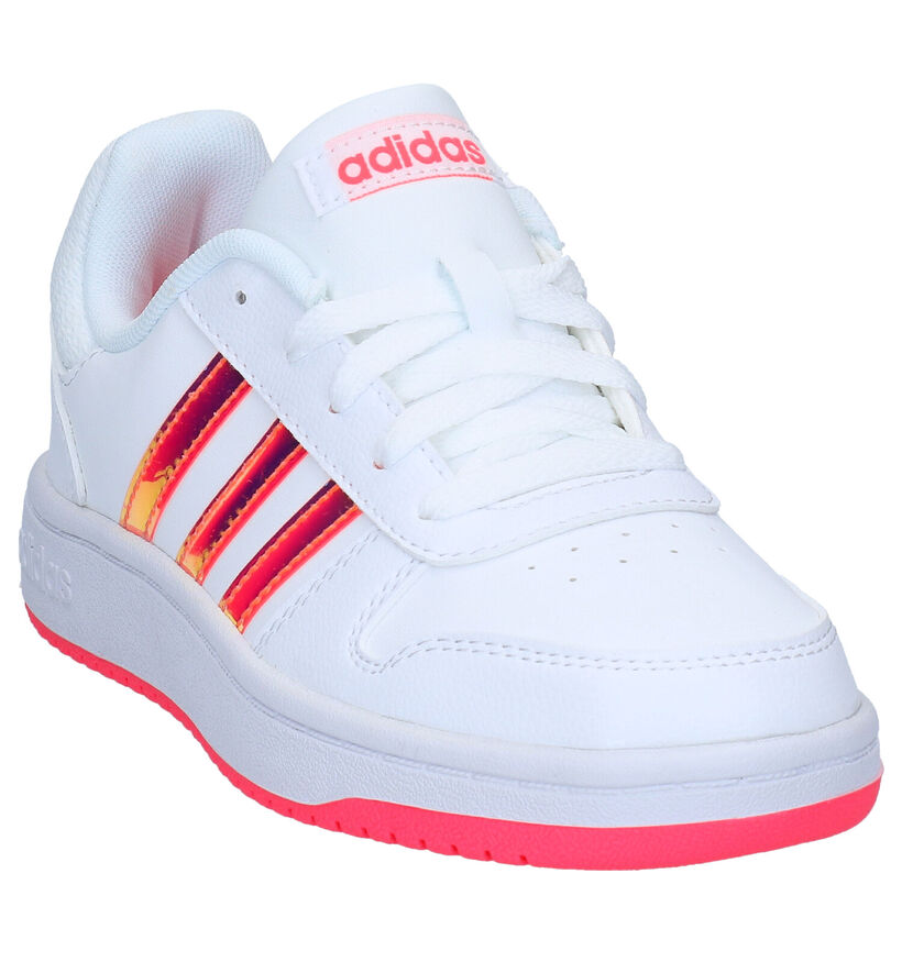 adidas Hoops Baskets en Blanc en simili cuir (284524)