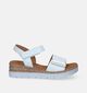 Gabor Comfort Witte Sandalen Met Sleehak voor dames (339349)