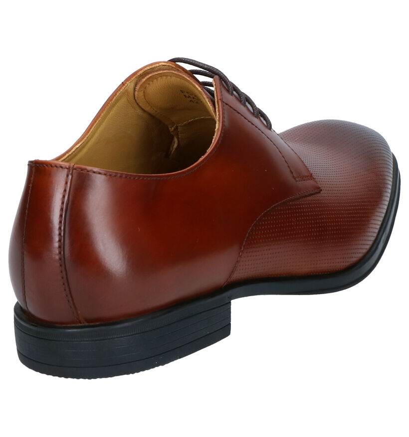 Cognac Geklede Schoenen Steptronic Foxx in leer (269330)