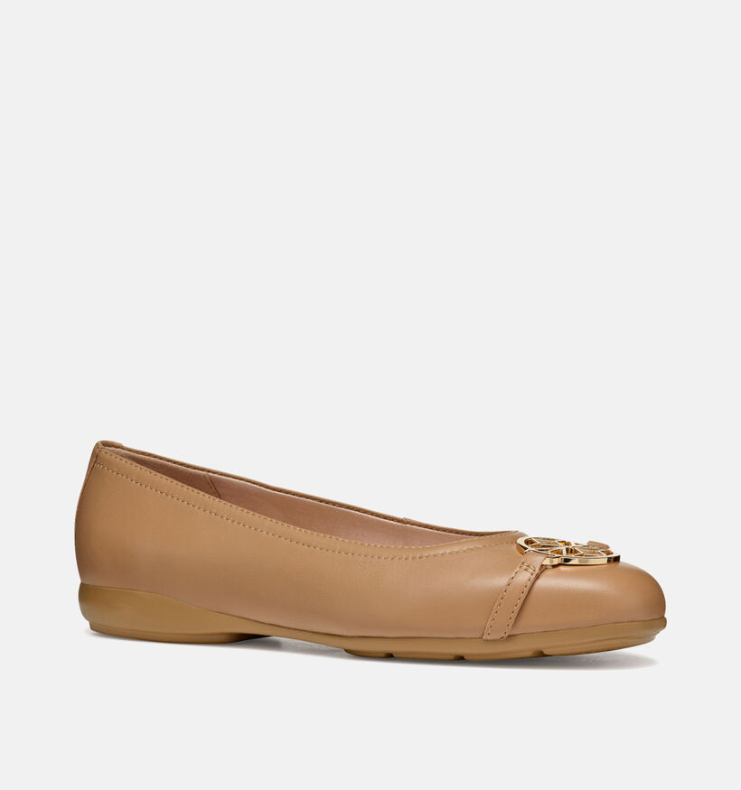 Geox Annytah Bruine Ballerina's voor dames (353760)