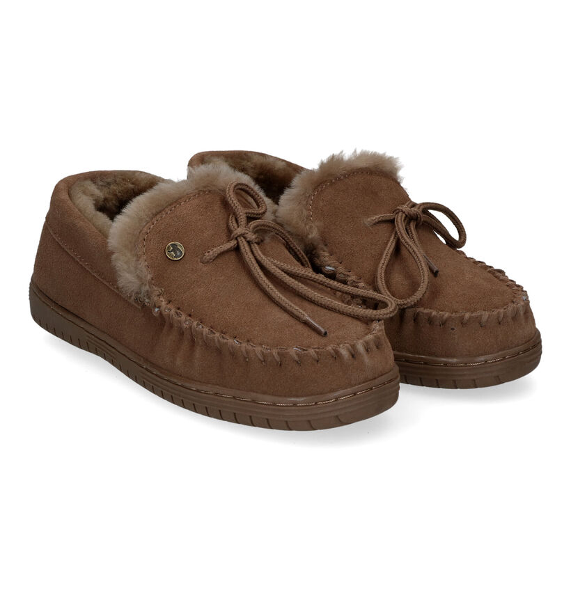 Warmbat Koala Bruine Pantoffels voor dames (314443)