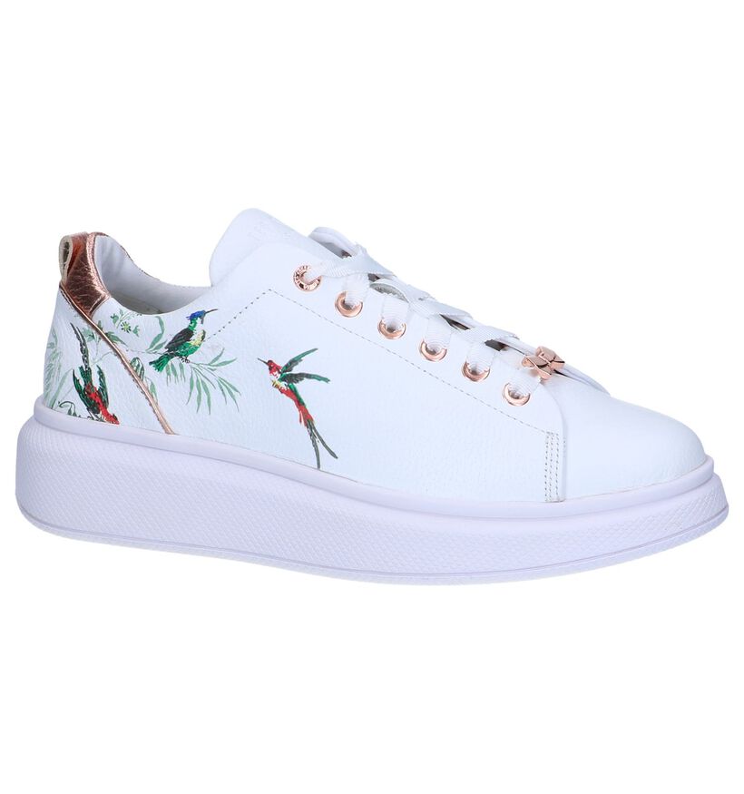 Witte Sneakers Ted Baker Ailbe 4 in leer (241709)