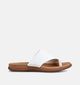 Gabor Witte Slippers voor dames (371211)