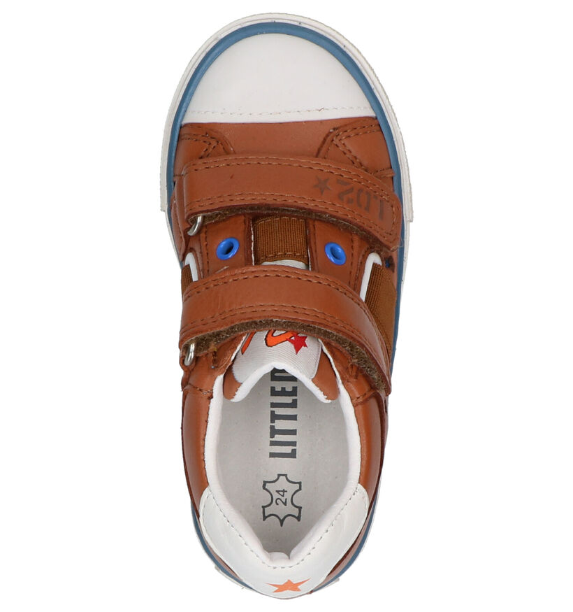 Little David Patton Cognac Velcroschoenen in leer (273224)