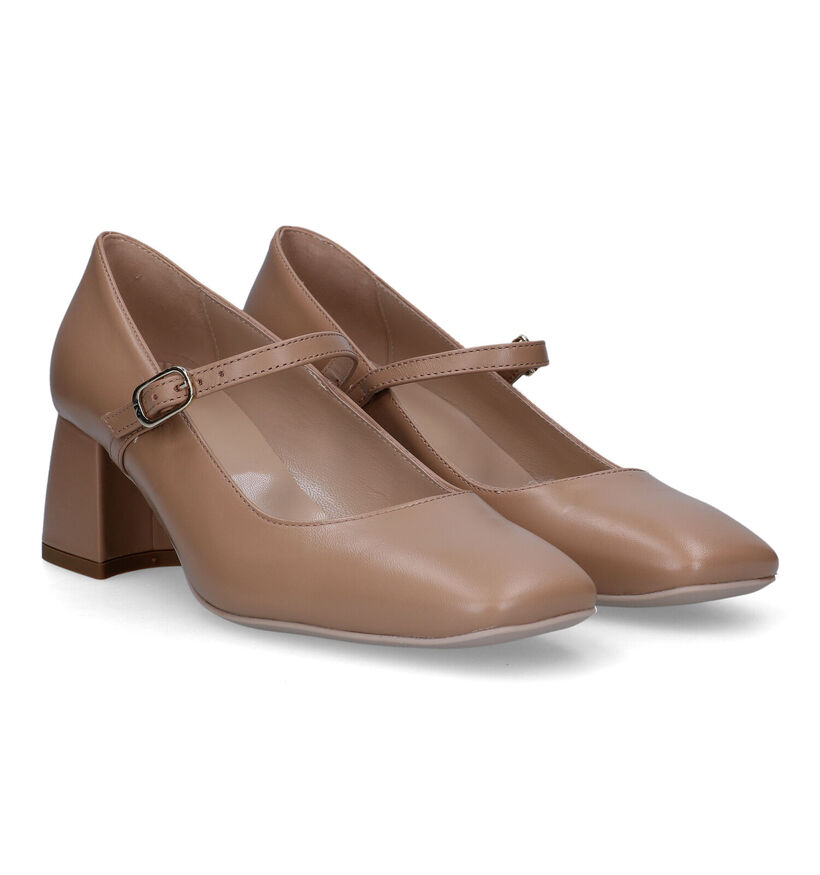 NeroGiardini Camel Pumps met blokhak voor dames (330211)