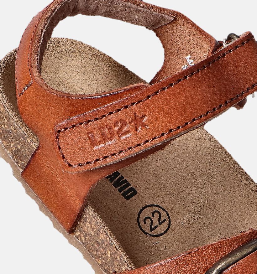Little David Fabio Cognac Sandalen voor jongens, meisjes (356056)