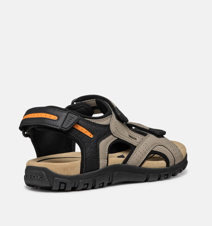 Geox Beige/Zwarte Sandalen voor heren (369122)