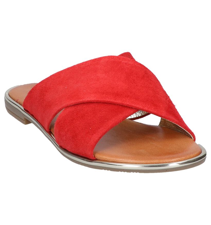 Rode Slippers Hampton Bays in daim (247489)